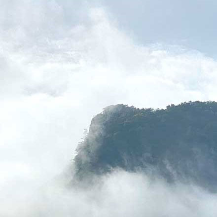 深圳品牌設(shè)計(jì)作品案例展示