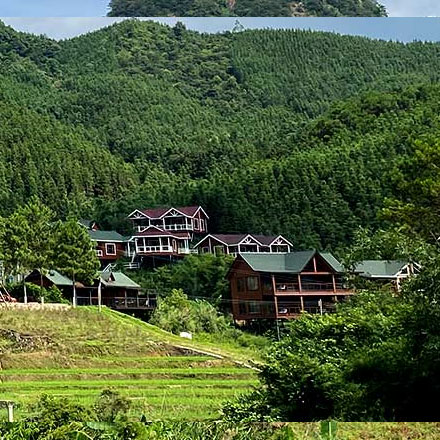 深圳品牌設(shè)計(jì)作品案例展示